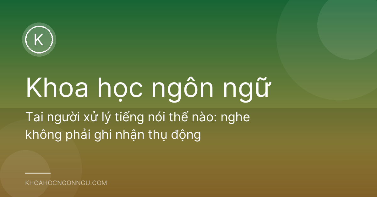Tai người xử lý tiếng nói thế nào: nghe không phải ghi nhận thụ động